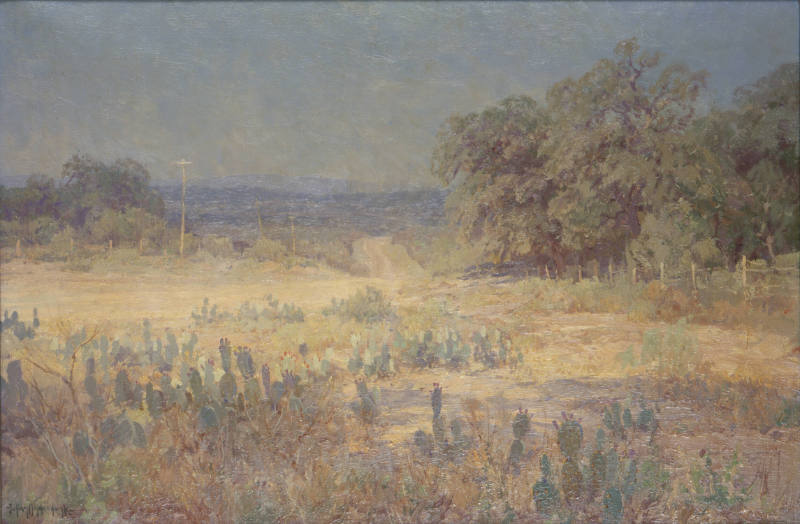 A Dusty Road at Noon in Southwest Texas