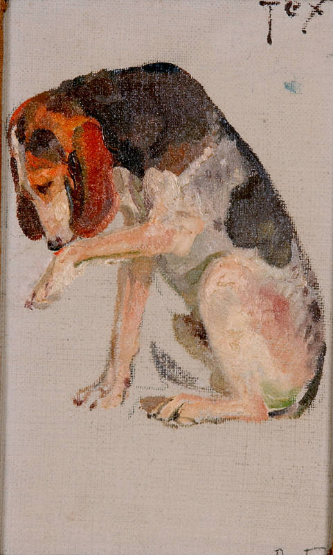 Tex