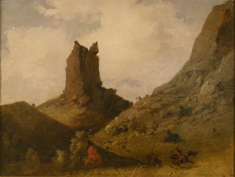 View in the Sierra Mimbres