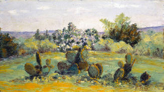 Desert Landscape