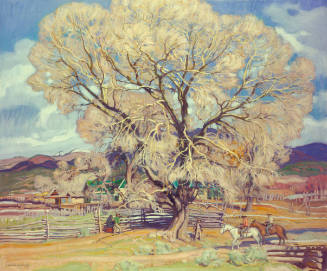 Winter Cottonwood, Arroyo Seco, New Mexico