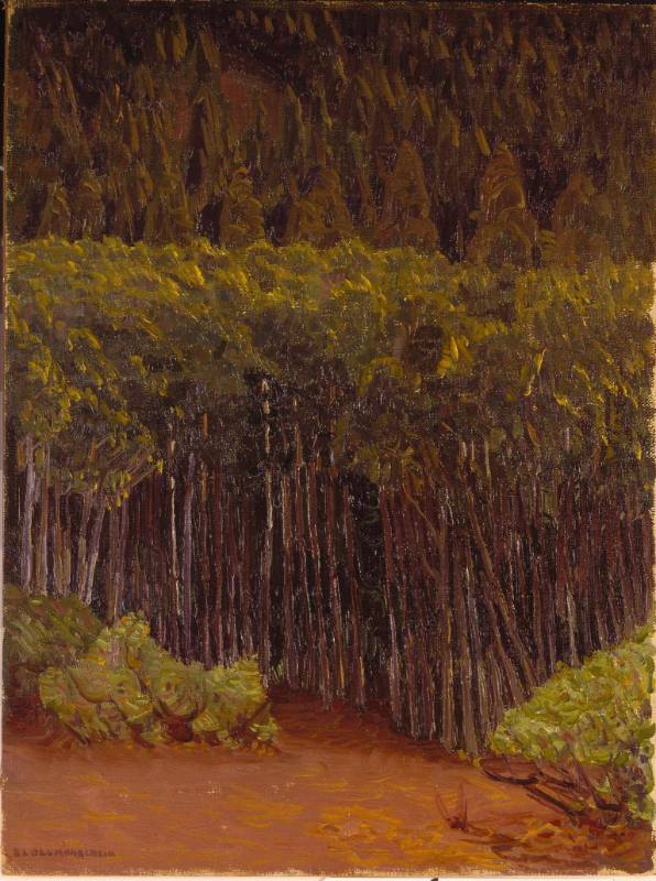 Green Aspen