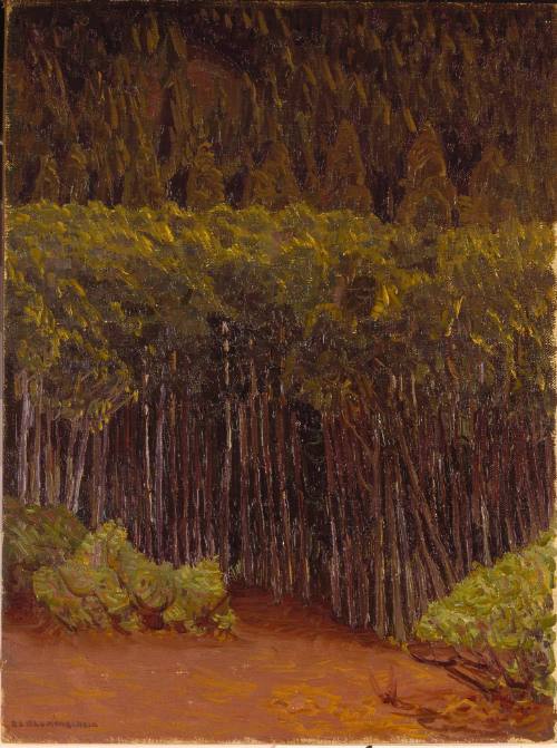 Green Aspen
