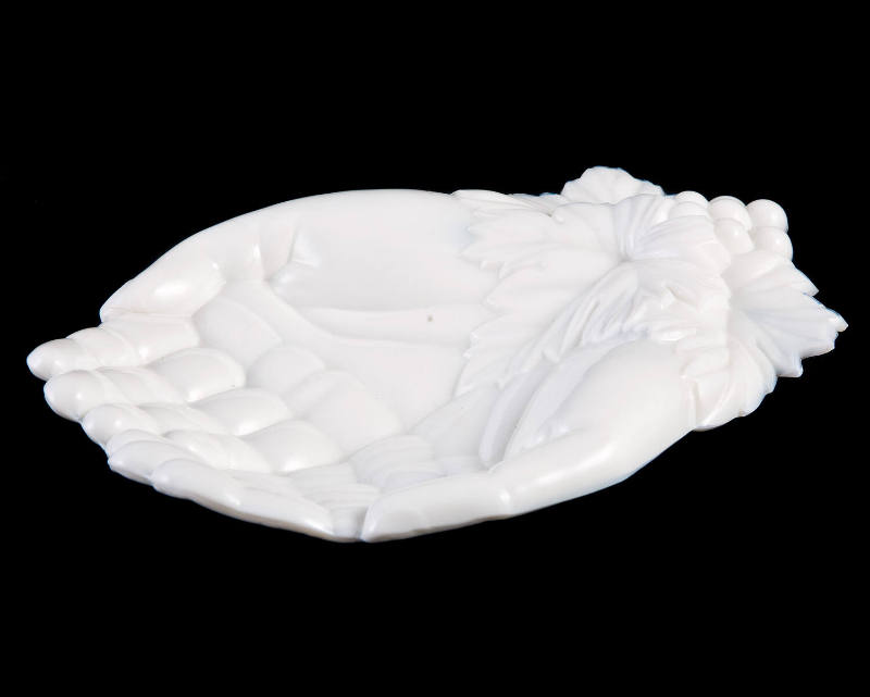 Dish