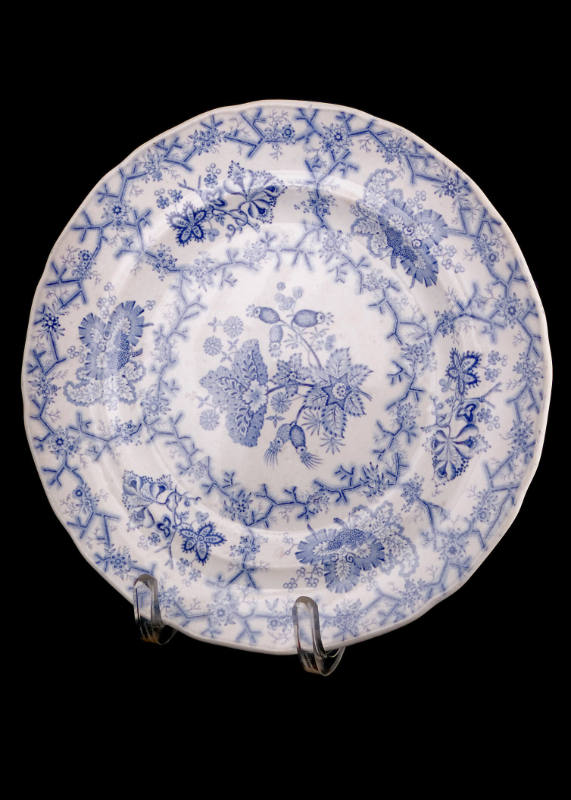 Plate