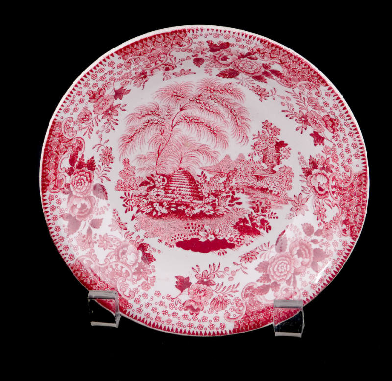 Saucer