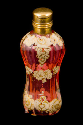 Toilet Bottle