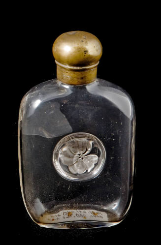 Toilet Bottle